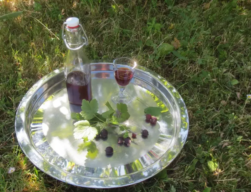 Ein Glas und eine Flasche mit dunklem Saft, garniert mit Jostabeeren und Blättern, auf einem Tablett im Gras. Perfekt für Jostabeere Rezepte.